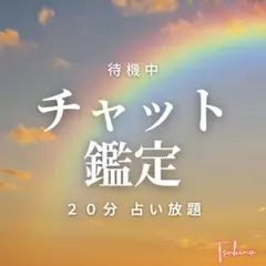 今すぐ可✨️ スッキリするチャット占い 20分 占い放題