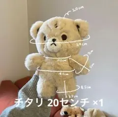 2025年最新】チーターリー nctの人気アイテム - メルカリ