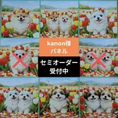 ♡セミオーダー受付中♡　わんことチューリップ　犬　608　kanon様パネル