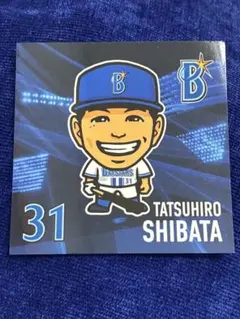 2026年最新】ベイスターズ 柴田の人気アイテム - メルカリ