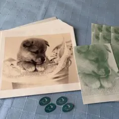 レトロ 犬 レターセット レター26枚 封筒9枚入