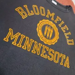 champion フロッキー Tシャツ M