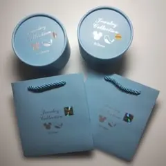 【新品】ディズニー　ジュエリー　アクセサリー　専用箱・袋あり　シルバー　ゴールド