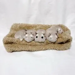 Item thumbnail for item a5c7d988-c629-433d-8bda-c821a3741d4e