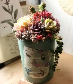 多肉植物寄せ植え　そのまま飾れる　ピスタチオグリーンのリメイク缶☆*