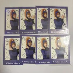 忍ミュ 鉢屋三郎 学園祭 ぱしゃこれ 8枚セット