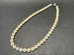 本珊瑚 白珊瑚 グラデーション ネックレス SILVER 4,6〜8,2mm - メルカリ