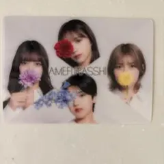 2026年最新】AMEFURASSHi floraの人気アイテム - メルカリ