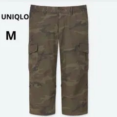 Item thumbnail for item 140604cb-e216-44eb-8513-eaf21591b16f