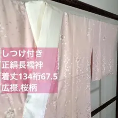 Item thumbnail for item bfae6a1b-eb8a-4a2a-87cc-bdfb198ce393