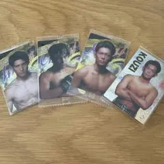 Item thumbnail for item bf83f4b8-d144-4014-a614-cacdbdab0c88