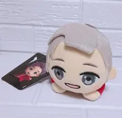 BTS TinyTAN 寝そべり エクストラ ぬいぐるみ RM !!