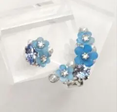 訳あり品 ネモフィラのイヤークリップ＆ピアスorイヤリング シルバーver☆