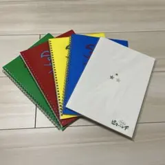 ら*ぱ様 嵐　ピカンチ　パンフレット　ノート　セット　【最終値下げ】