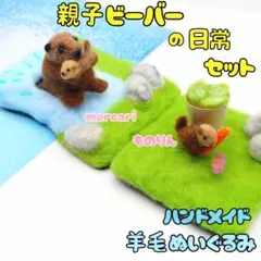 オーダー用】にんじん畑 おもちゃ ぬいぐるみ バードトイ - メルカリ