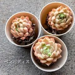 mami様 リクエスト 4点 まとめ商品