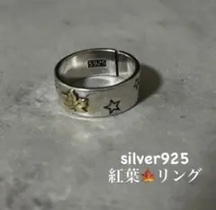 ひぬき様 リクエスト 2点 まとめ商品