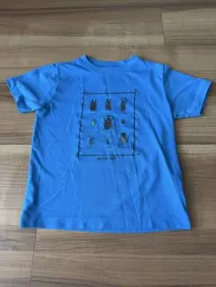 【最終値下げ】mont-bell 昆虫プリント Tシャツ 青 120cm