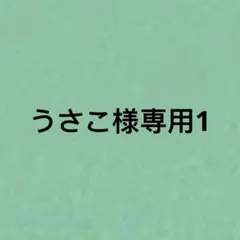 うさこ様専用1