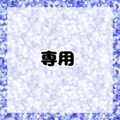 専用出品
