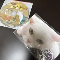映画　ドラマ猫侍 ハガキブロマイド 3枚セットDVD2014非売品