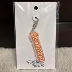 SEVENTEEN セブチ スングァン グッズ キーリング