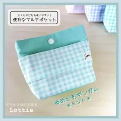 フタなし＆ファスナー付！あんしんマルチポケット＊ゆめかわギンガム＊ミント