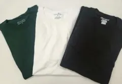 Championレディース Tシャツ ３枚