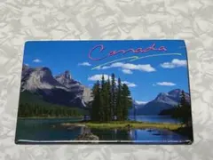 Item thumbnail for item 03485369-be3a-4022-ab58-5069e5b5c94c