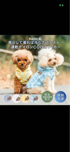 新品RADICA 接触冷感 防虫加工 犬用パーカー Mサイズ　ギンガムイエローのサムネイル
