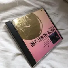 角松敏生　希少品　VOICES FROM THE DAYLIGHT