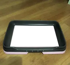 Item thumbnail for item 66bf549b-48c0-4401-891c-c9d9a0a94101