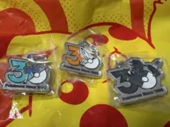 ポケモン 30周年 チャームマスコット 3種セット
