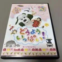 【中古】NHKいないいないばぁ ぐるぐるどっか~ん! [DVD] 2026年最新】nhkいないいないばぁ ぐるぐるどっか~ん! dvdの人気