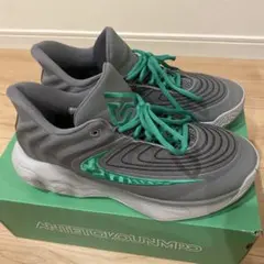 NIKE ヤニスイモータリティ4EP 25.5cm