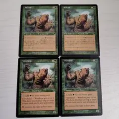 MTG 熊人間 Werebear 4枚