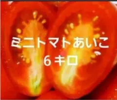 ミニトマトあいこ ６キロのサムネイル