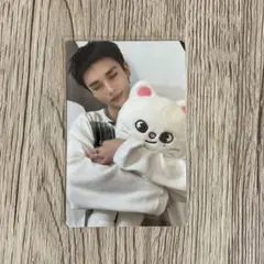 straykids skzoo tincase 현진 트레카