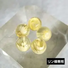 リン様 リクエスト 2点 まとめ商品