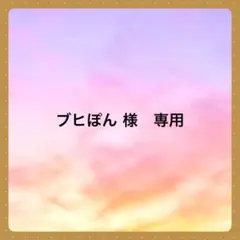 ブヒぽん様 リクエスト 2点 まとめ商品