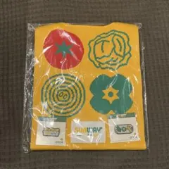 サブウェイ 2026 福袋 ニットバッグ ピンバッジ 3点