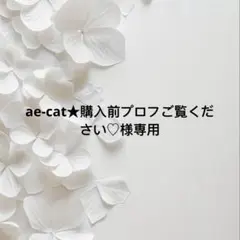 ae-cat★購入前プロフご覧ください♡様 リクエスト 2点 まとめ商品