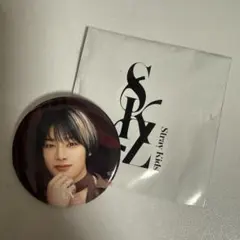 Stray Kids 缶バッジ アイエン