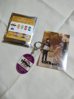 アニメ　ハイキュー!!　10周年記念展　アクリルキーホルダー　白鳥沢　おまけ付き