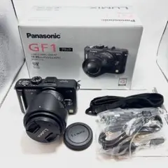 2026年最新】lumix gf1 充電器の人気アイテム - メルカリ
