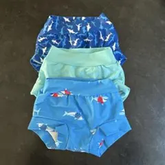 水遊びパンツ オムツ機能付 3点セット　100-110