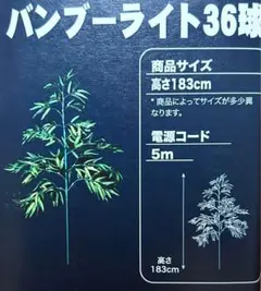 七夕⭐︎イベント⭐︎バンブーライト⭐︎３６球
