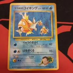 2026年最新】サカキのコイキングの人気アイテム - メルカリ