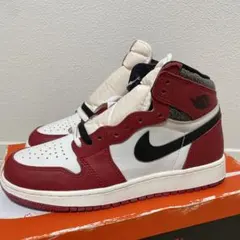 24.5cm Nike GS Lost & Found/Chicago