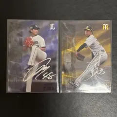 ひぃくん様専用